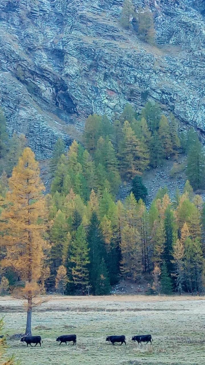 Hotel Petit Dahu Cogne Exteriér fotografie