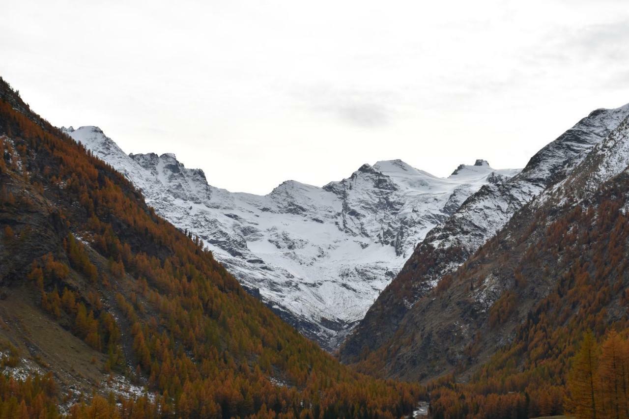 Hotel Petit Dahu Cogne Exteriér fotografie